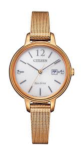 CITIZEN EW2447-89A